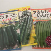 今年の畑報告