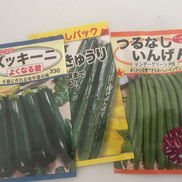今年の畑報告