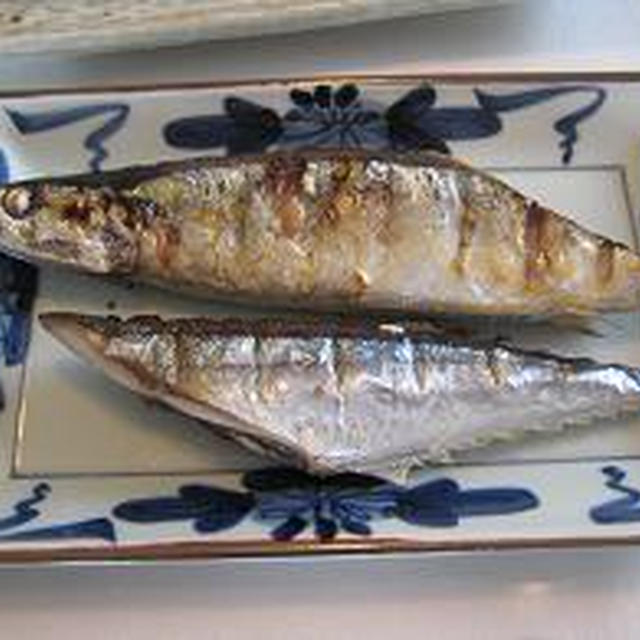 さんまの塩焼き　コツ