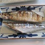 さんまの塩焼き　コツ