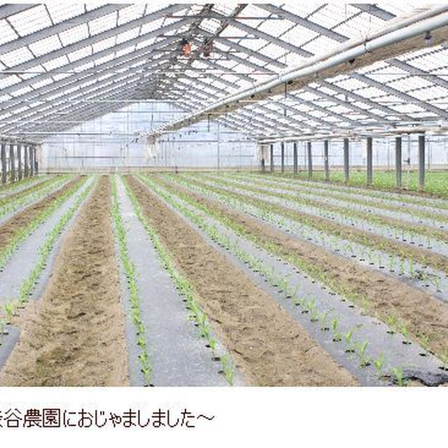 野菜農家へ出張中CookingStyle Espoir3n