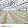 野菜農家へ出張中CookingStyle Espoir3n