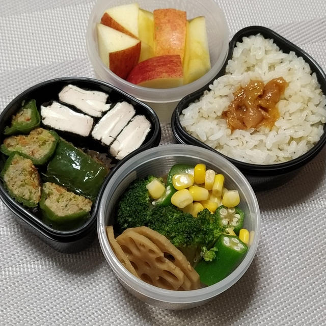 1/25〜29弁当記録