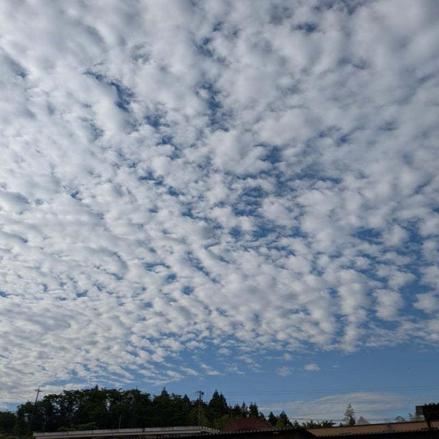 清々しい✨