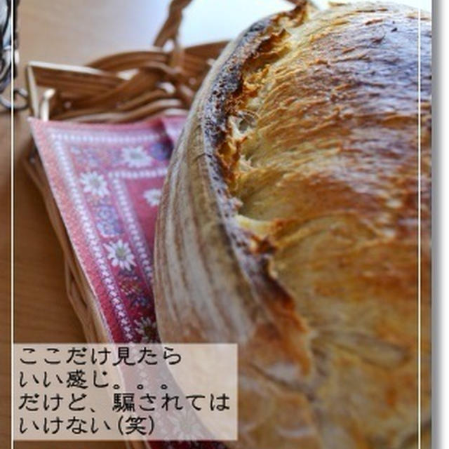 認めたくない…オーバルカンパ＠苺酵母