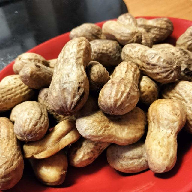 茹で落花生　シャトルシェフに入れとくだけ