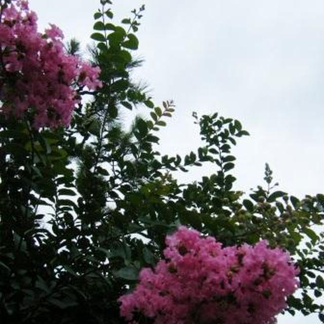 【記録】地震の次は大雨。。。