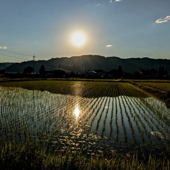 梅雨入り前にお出かけ
