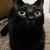 【小梅・さくら・桃之介通信】猫とInstagram