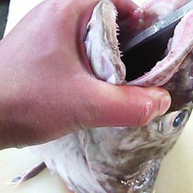 鱈 タラ 頭 割り方 切り方 By 魚屋さんさん レシピブログ 料理ブログのレシピ満載