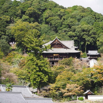 ひとっ走り旅『お久しぶりの奈良 長谷寺 ①』