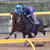 まさかの敗退〜ボロ負け有馬記念
