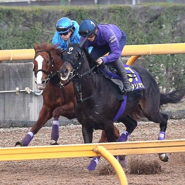 まさかの敗退〜ボロ負け有馬記念