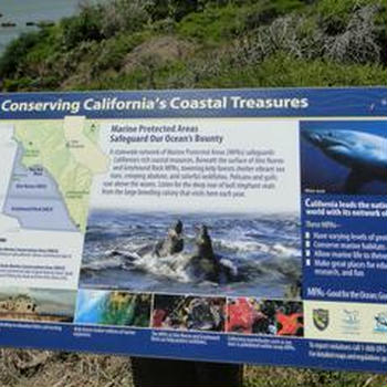 カリフォルニア州の自然保護区の海岸