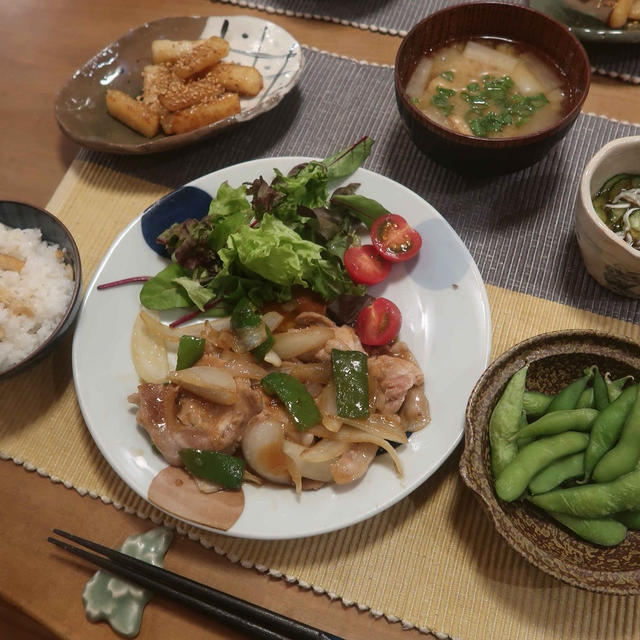 豚生姜焼きと太刀魚ご飯の献立　と　コウモリランの成長♪