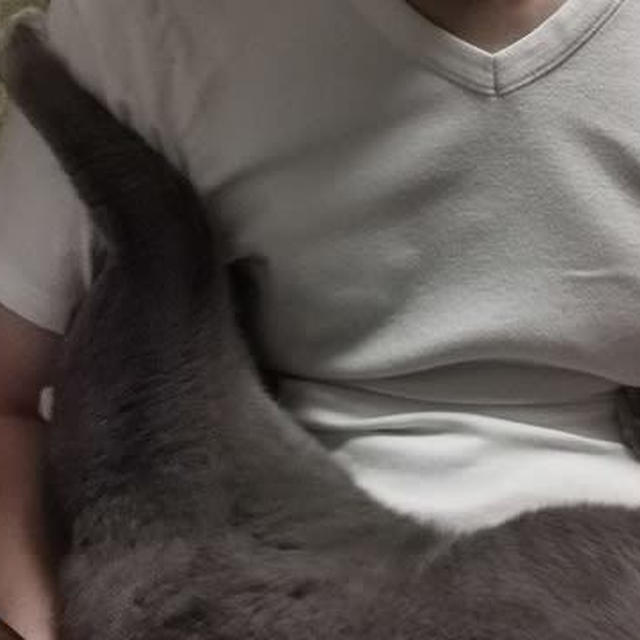 パパLOVE
