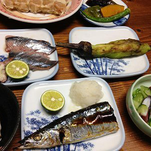 秋刀魚の塩焼きと刺し身。ブラッシングされてよろこぶにゃんこ