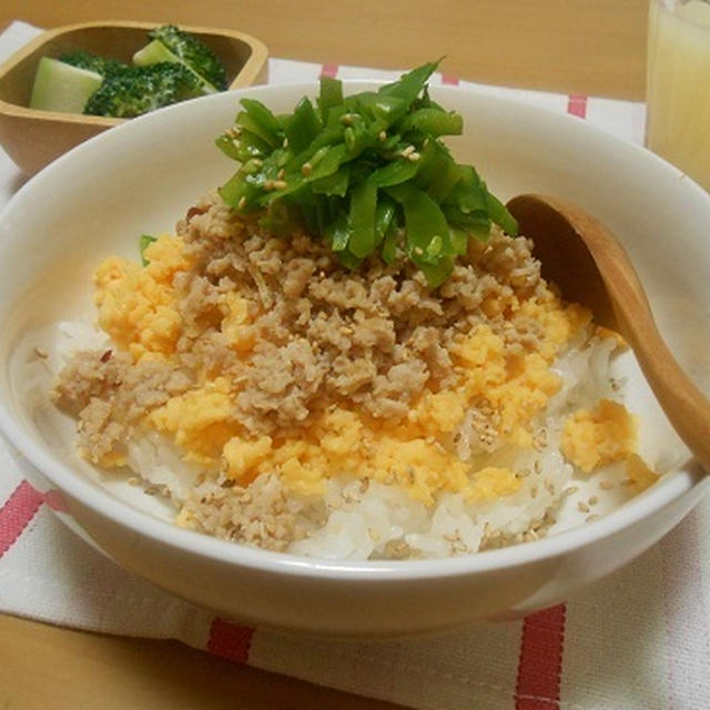 シンプルな味付けで生姜鶏そぼろ☆ランチはカツカレー♪