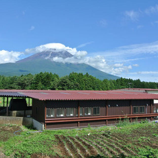 祝☆世界文化遺産 富士山とおいしいキャンプ場オープン