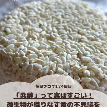 「発酵」って実はすごい！微生物が織りなす食の不思議を解き明かそう！