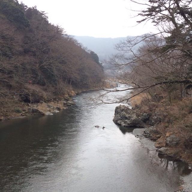 プチ青梅〜♫