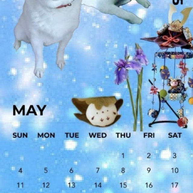 お久しぶりです