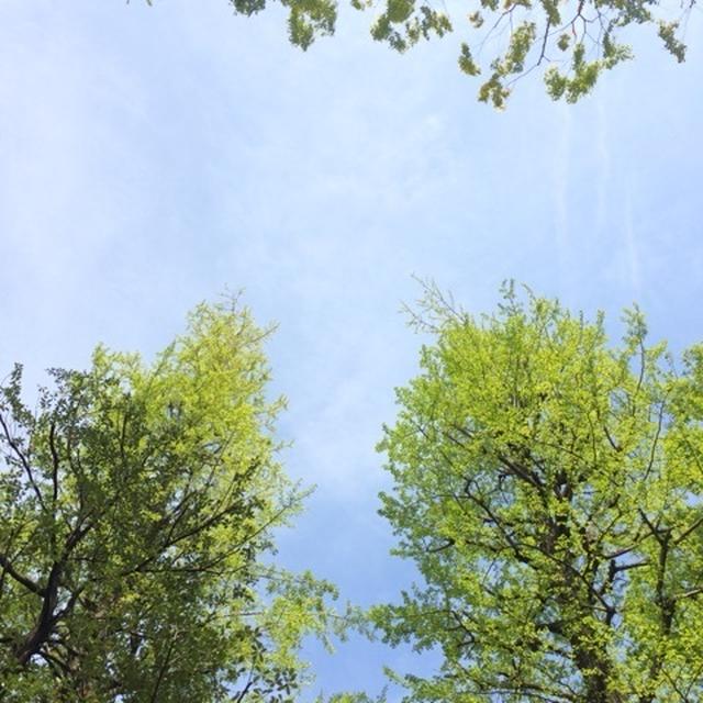 晴天ゎオープンテラスで、、