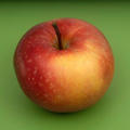 リンゴの栄養素を最大に活用した１品！スペシャルバージョンのリンゴのポークソテー！