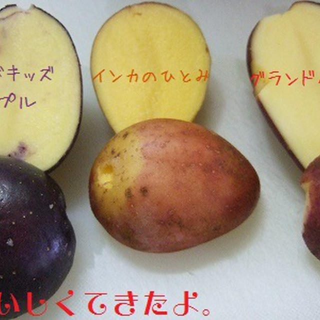 ジャガキッズパープル・グランドペチカ・インカのひとみのフレンチフライ
