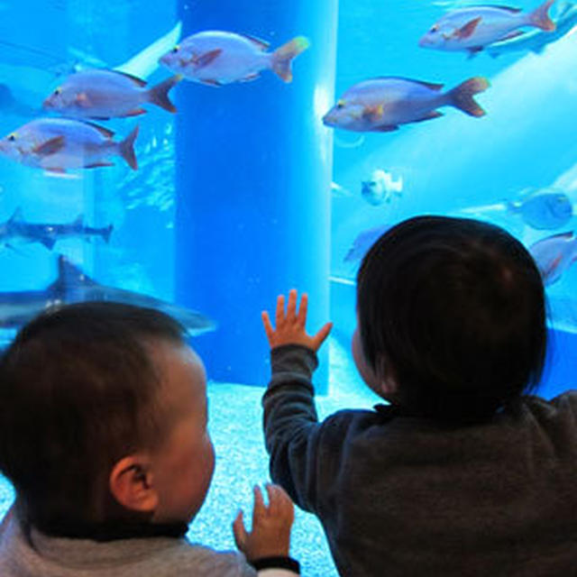 水族館へ