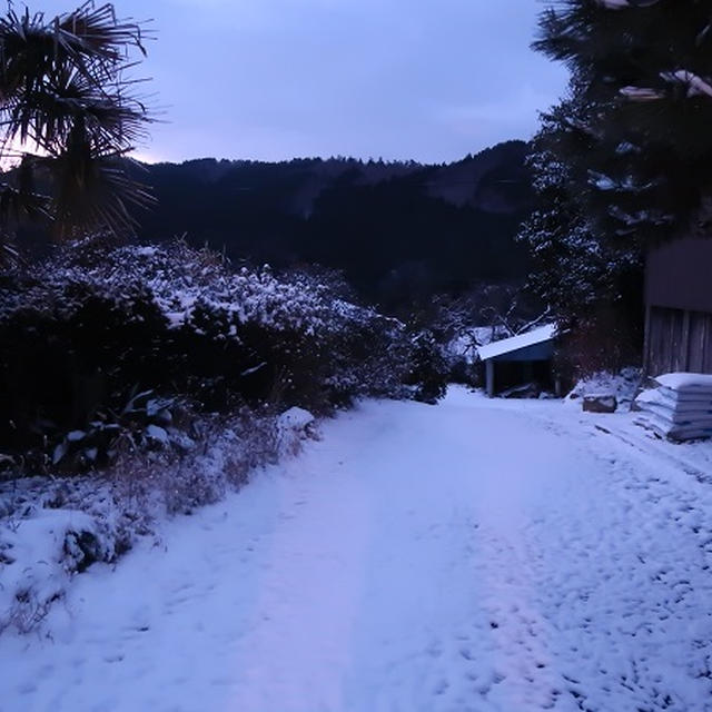寒～い❕そして雪～❕