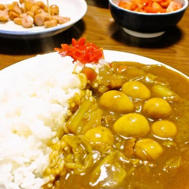 白菜とうずらの卵カレー