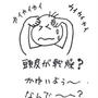 シトラスミンティ　頭皮のかゆみが解消