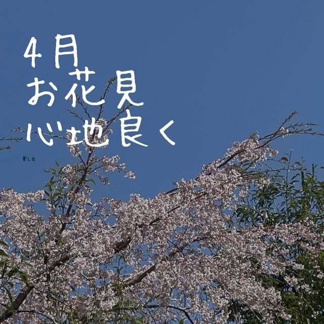 新年度のスタート