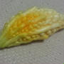 貰いもの　色の野菜