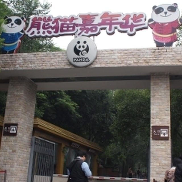 成都の旅３☆パンダ！パンダ！パンダ！