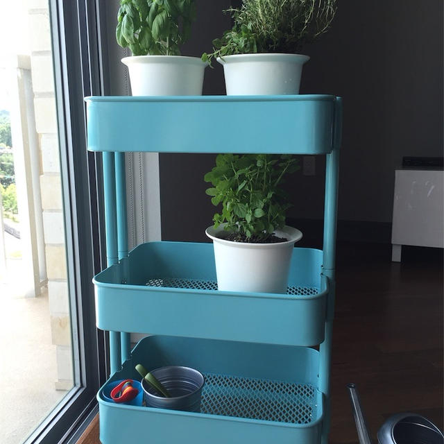 IKEAのRASKOGキッチンワゴンでハーブを室内栽培。