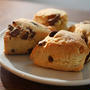 Choco Chip Scone