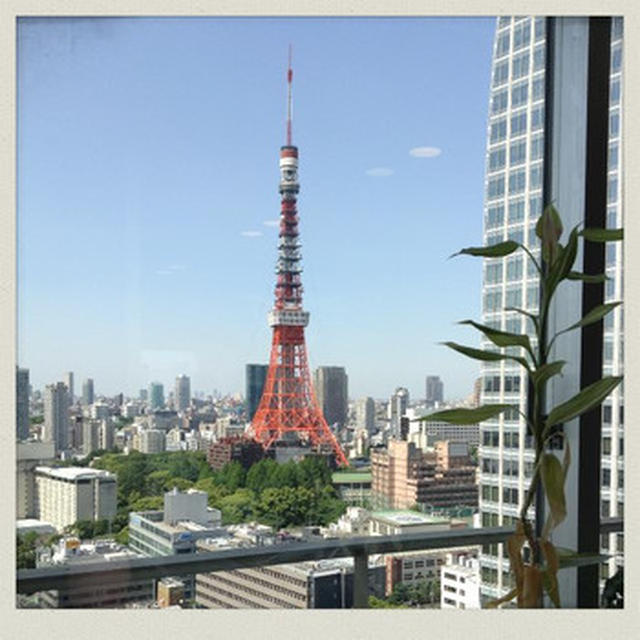 さよなら中耳炎。