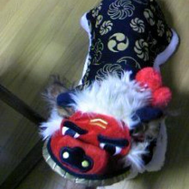 新年明けましておめでとうございます。