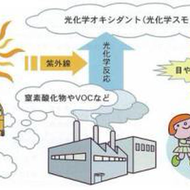 ５月８日鶏照り丼　～　メタボ加速中ダーリン　＆　男子高校生弁当