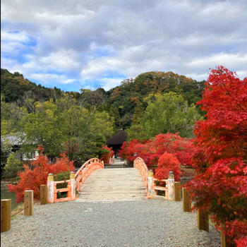 白水阿弥陀堂の紅葉狩り