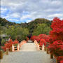 白水阿弥陀堂の紅葉狩り