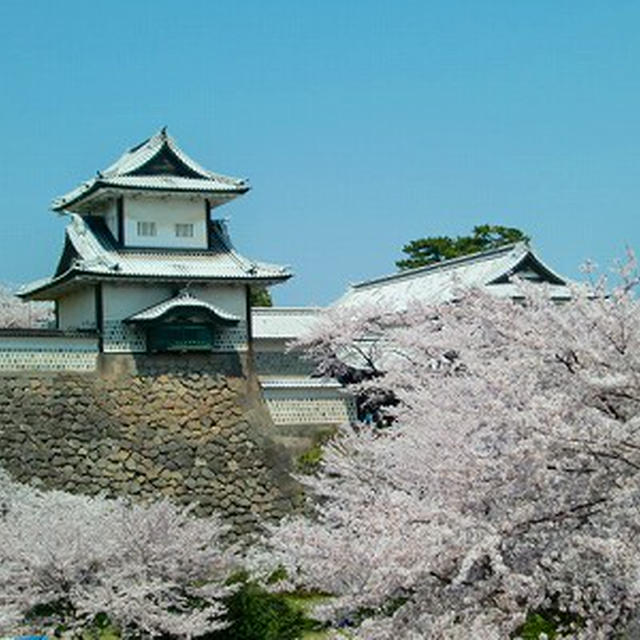 お花見遠足♪