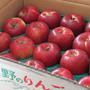 【　明野のりんご届きました〜簡単焼きリンゴレシピ！　】