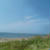 海藻を潜って収穫してきました！