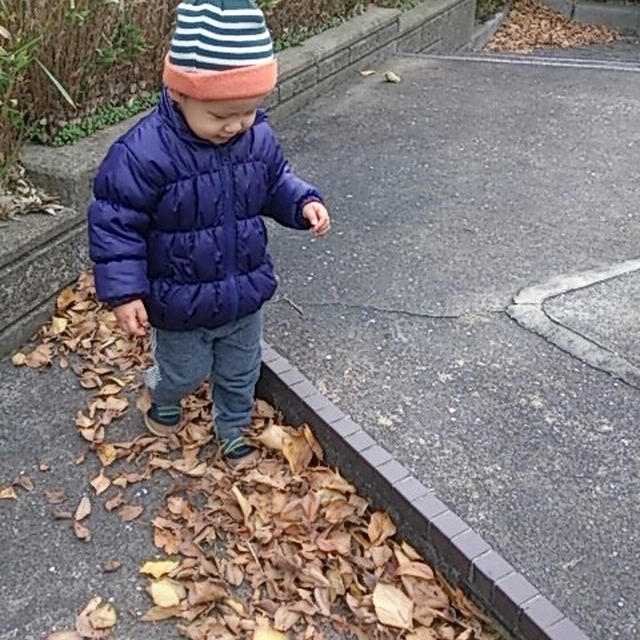 寒い!!