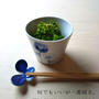 菜の花のおひたし