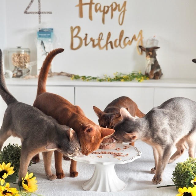 とのひめ、4歳のお誕生日会をしました♪