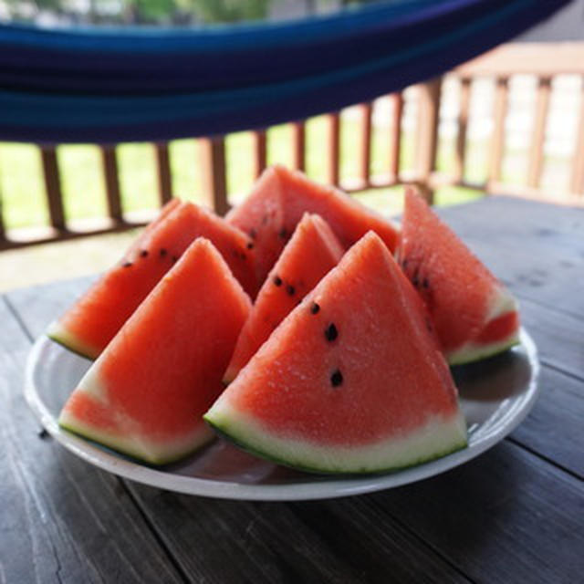 今年の夏は・・・